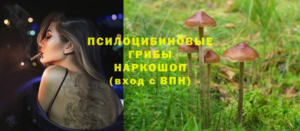 гидропоника Абаза