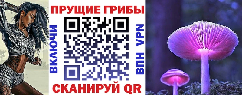 Псилоцибиновые грибы мухоморы  дарнет шоп  Алагир 